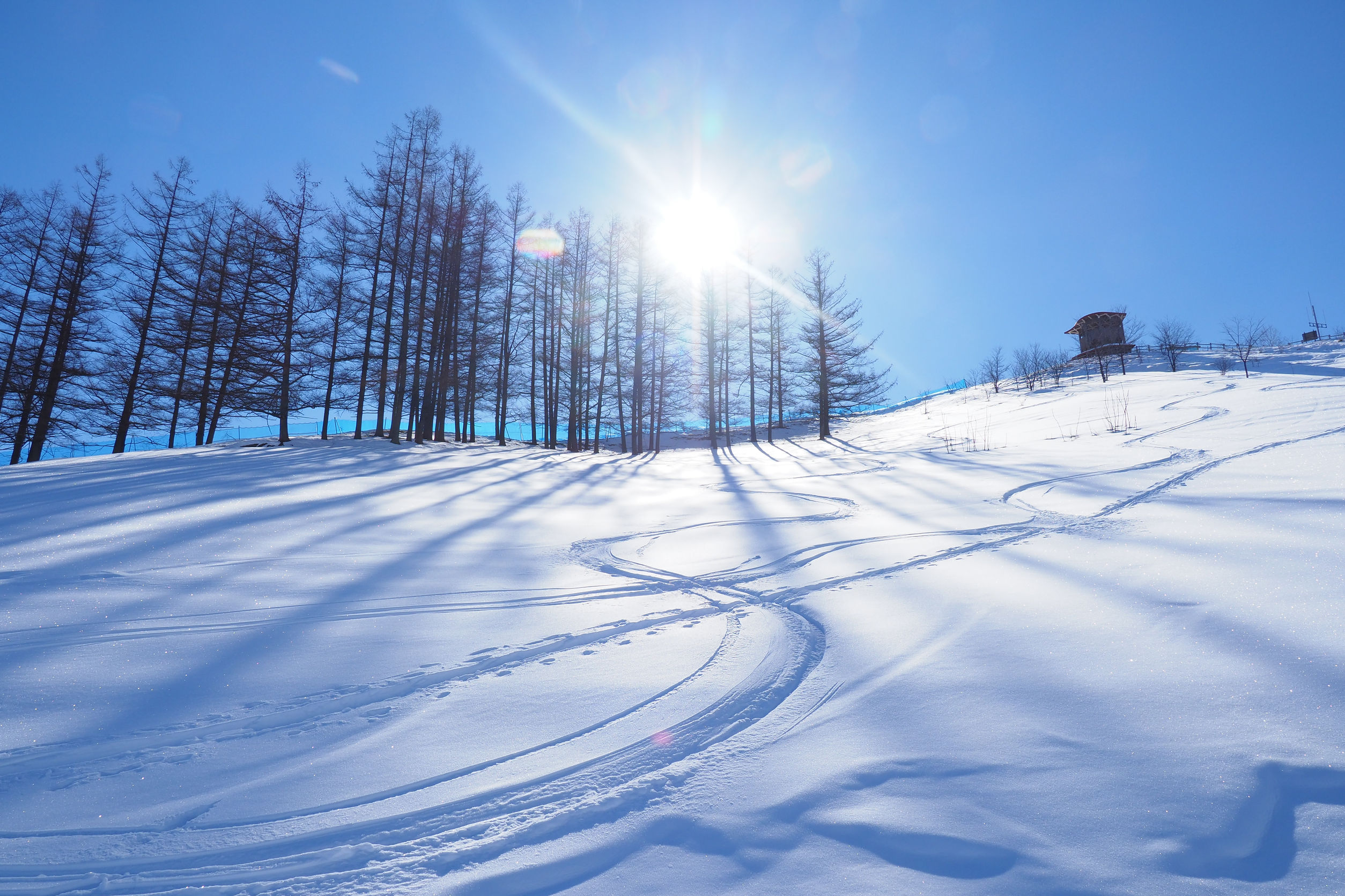 snow in Niseko