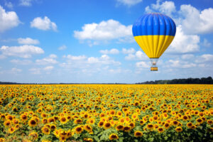 Ukrainian flag over the sunflower field