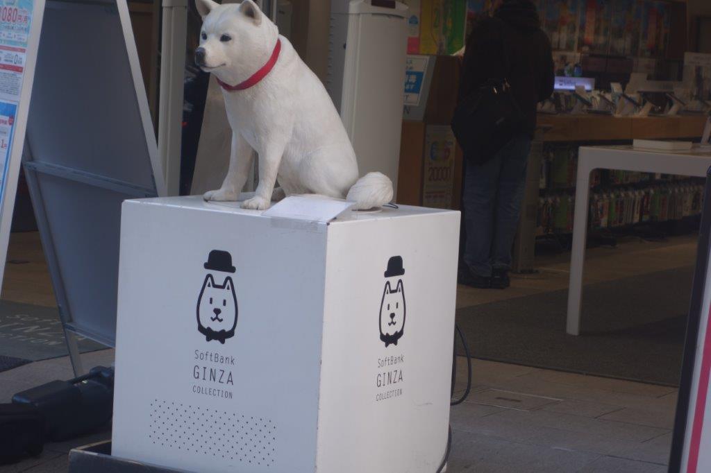 Dog in ginza