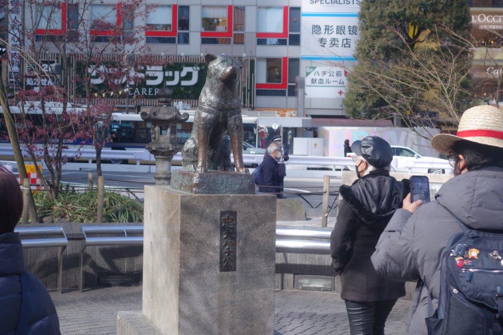 Statue of hachiko