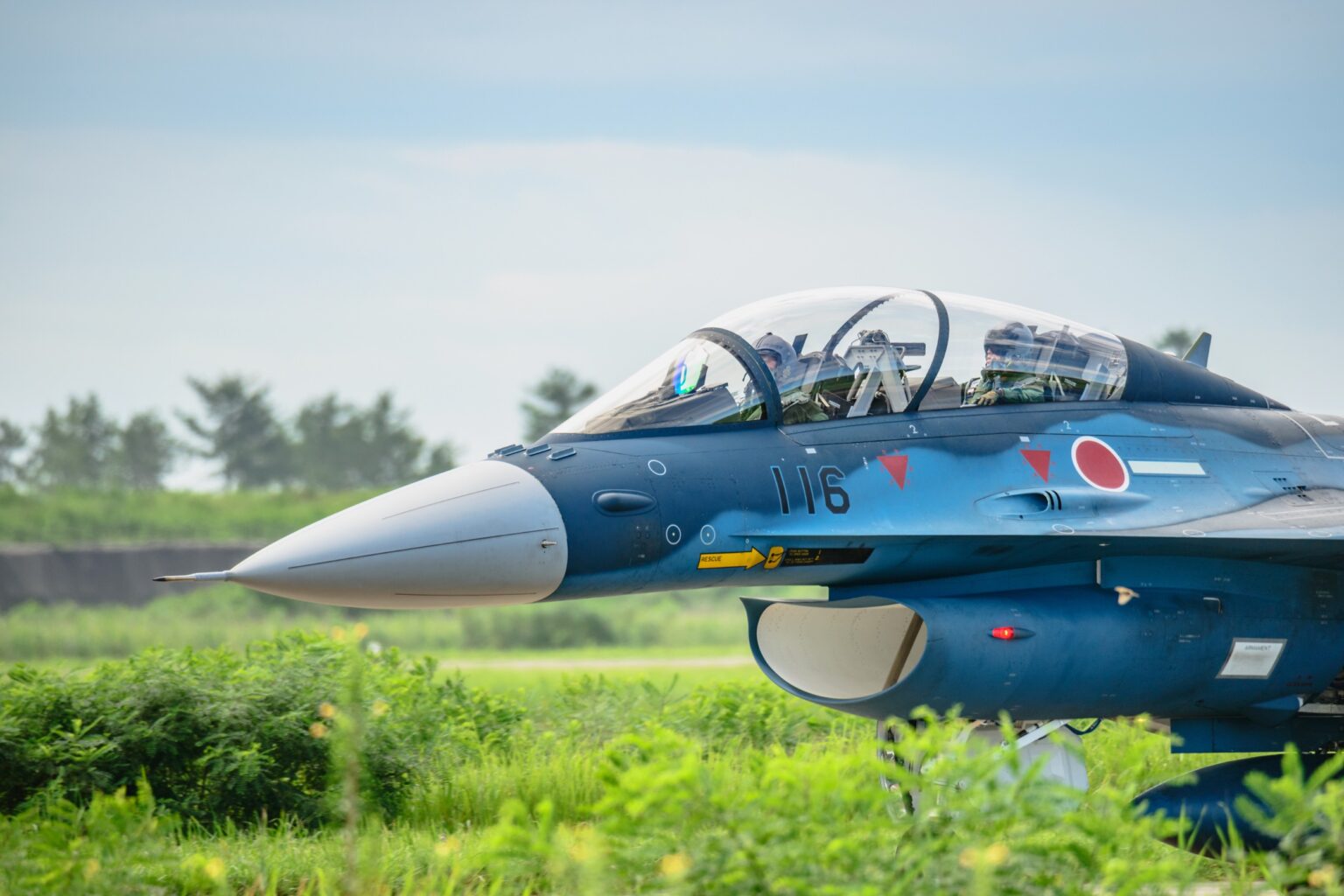 Does Japan have a military?