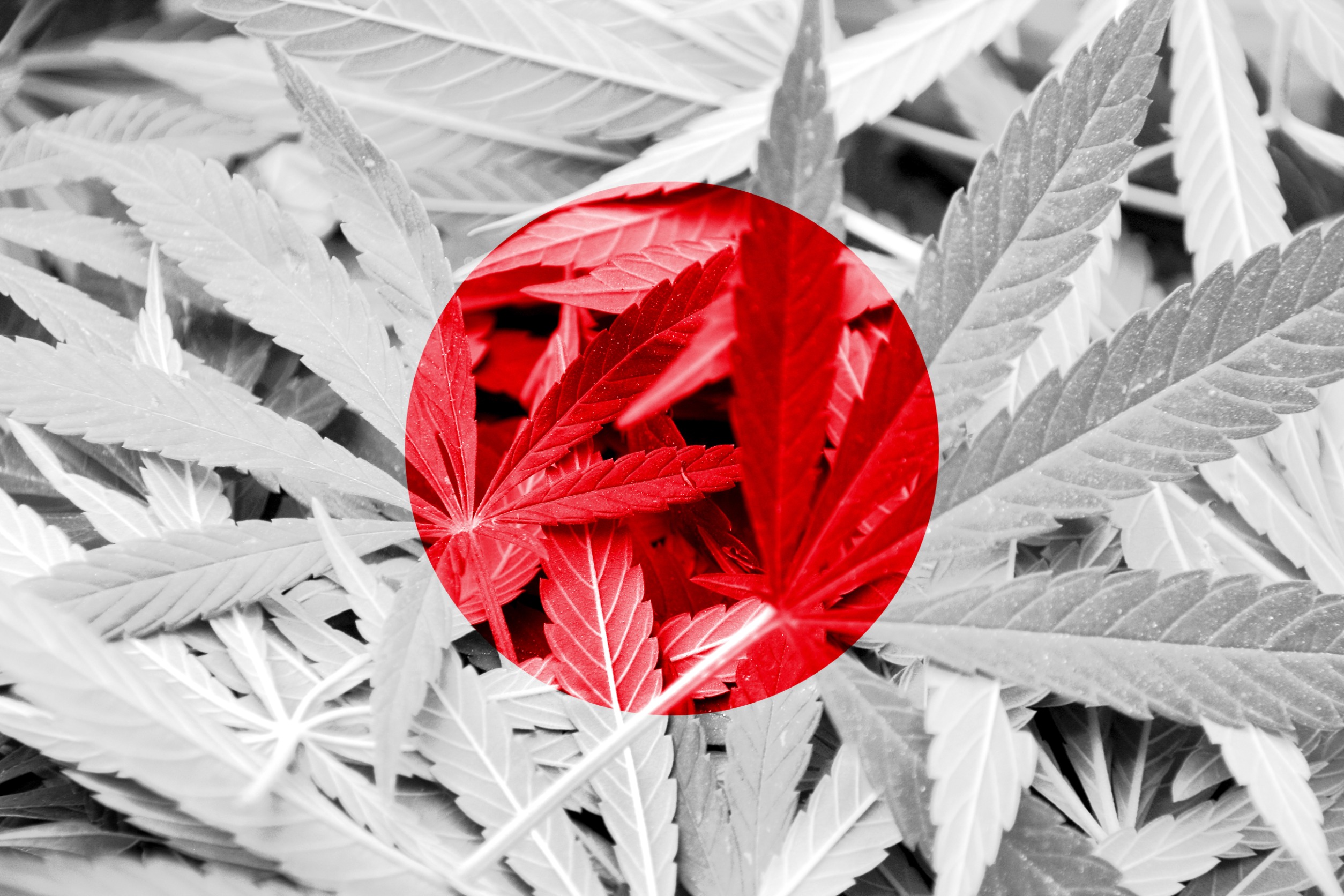 Is weed legal in Japan?