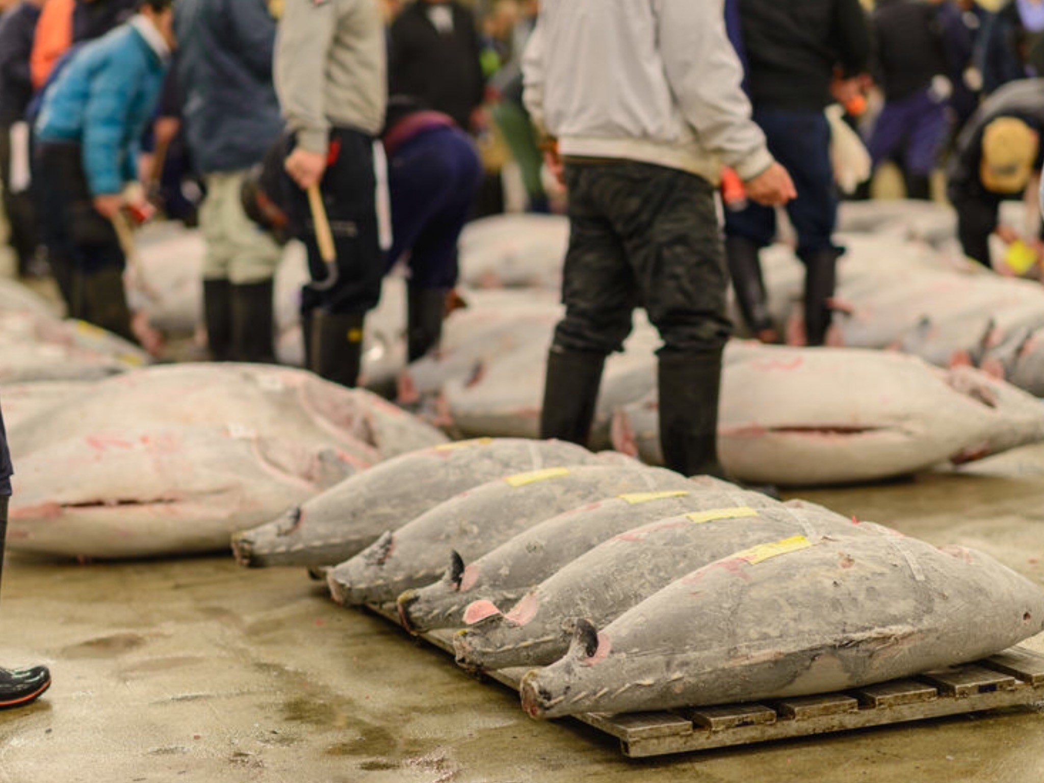 Tsukiji